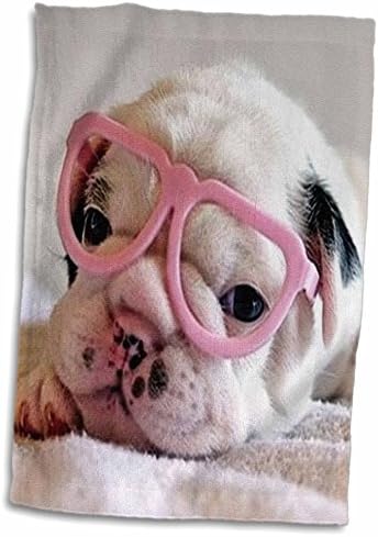 3 דרוז פלורן כלב - גור עם משקפיים - מגבות