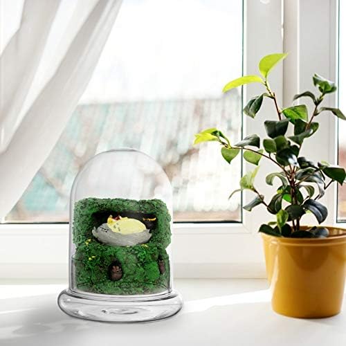 חריץ דקור בית צמחים מלאכותיים של 2 תצוגת זכוכית כיפת זכוכית כיפת פעמון כיפת פרחים שמורה תצוגת כיפת