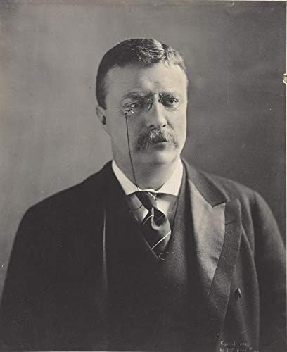 תצלום של תיאודור רוזוולט - יצירות אמנות היסטוריות משנת 1902 - דיוקן נשיא ארהב - - מט