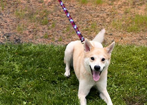 אייל חיית מחמד ללבוש רצועת כלבים דלוקס - רצועות חיות מחמד כבדות בדוגמת, מיוצרות בארצות הברית - 1 סנטימטר