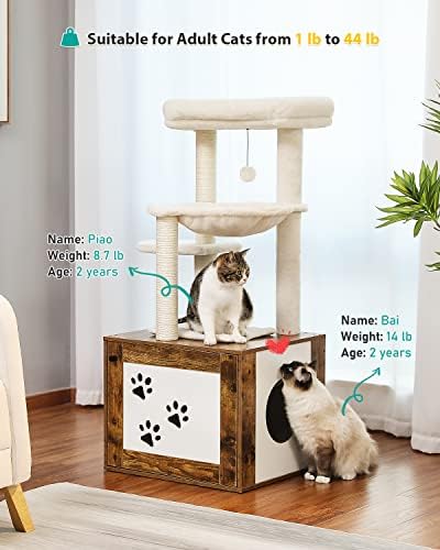 עץ חתול Petepela עם מארז קופסאות מלטה