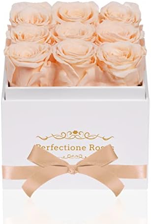 שלמות ורדים שמורים פרחים בקופסה, שמפניה ורדים אמיתיים ארוכי טווח ארוכי טווח מתנות ליום ולנטיין