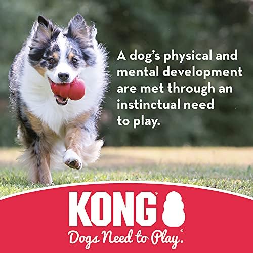 KONG - אקווה - צעצוע אחזור צף למשחק מים - לכלבים גדולים