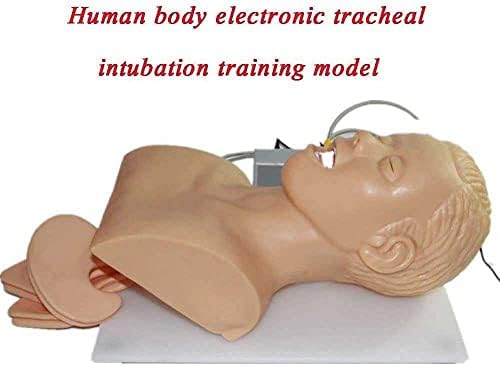 Himfl הכשרת מניקין, אינטובציה מאניקין להכשרה חינוכית רפואית סיוע מודל מודל מודל אלקטרוני