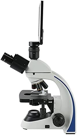 1080 11.6 אינץ '40-1000 אינץ' 1600 אינץ '2000 אינץ' מעבדה מיקרוסקופ ביולוגי טרינוקולרי מקצועי + מיקרוסקופ וידאו