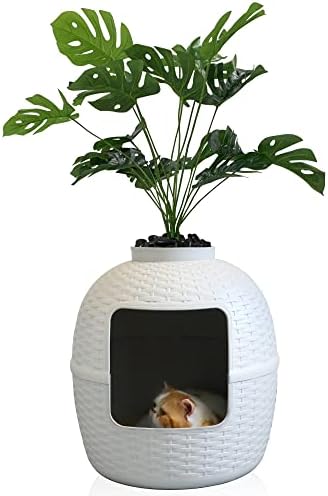 בית חתולים עם צמח מאת קיגארזון, בית מיטת חתולים מפלסטיק עם דפוס ראטאן, מערת חתולים עם פילטר פחמן,