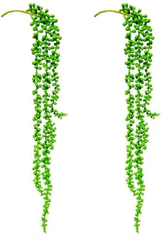 Corgre מלאכותי צמחים עסיסיים, מאהב תלייה עסיסי מזויף דמעות צמחים תלויים סליל 2 פאק