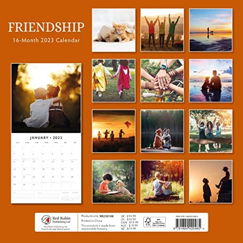 2023 לוח השנה של הקיר החודשי של הידידות על ידי לוחות השנה האדומים של רובין 12 x 12