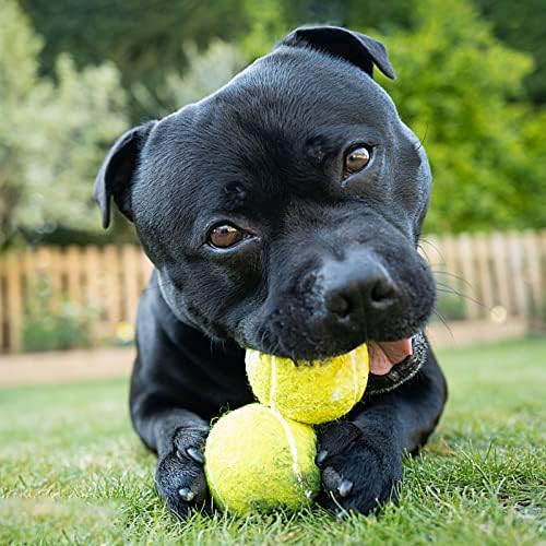 כדורי טניס של OEAB לכלבים 3 חבילה של כדורי צעצוע של חיית מחמד 2.5 כדורי כלבים עמידים לאימונים, משחק,