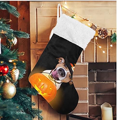 גרבי חג המולד של Alaza ליל כל הקדושים דלעת כלב קלאסי קלאסי מותאם אישית לקישוטים גרביים גדולים לעיצוב