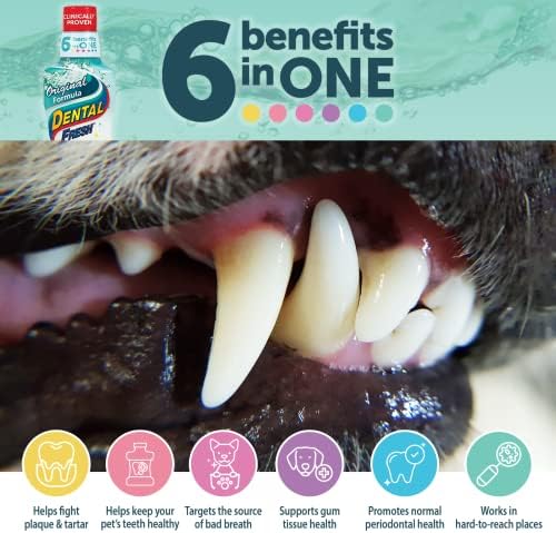 תוסף מים טריים שיניים לכלבים, פורמולה מקורית, 64oz - מטהר נשימה של כלבים וניקוי שיני כלבים לטיפול שיניים לכלבים