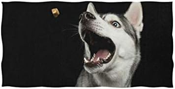 מגבת כושר מיקרופייבר של Alaza כלב האסקי סיבירי מצחיק, ייבוש מהיר כושר ספורט זיעה במטלית פנים 15 x 30 אינץ '