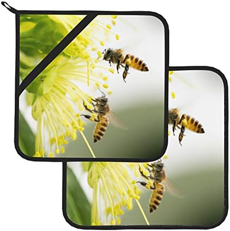 דבורת דבש מאביקה פרח צהוב כריות חמות רפידות חמות עמידות בחום ערכות מגבות מטבח עם מחזיקי סיר 2 מחשבים
