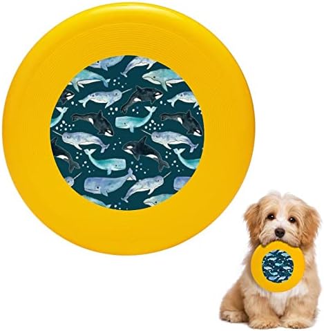 לווייתנים אורקים נרוולס על צעצועי דיסק מעופפים של כלבים עגולים לאילוף קערת אוכל ספורט