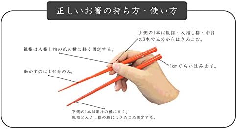 מקלות אכילה של איסו יפנית Nishiki שפירית 9.1 אינץ '