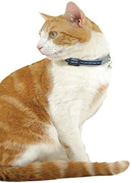 אדום דינגו רעיוני חתול צווארון, מידה אחת מתאים לכל, כחול כהה