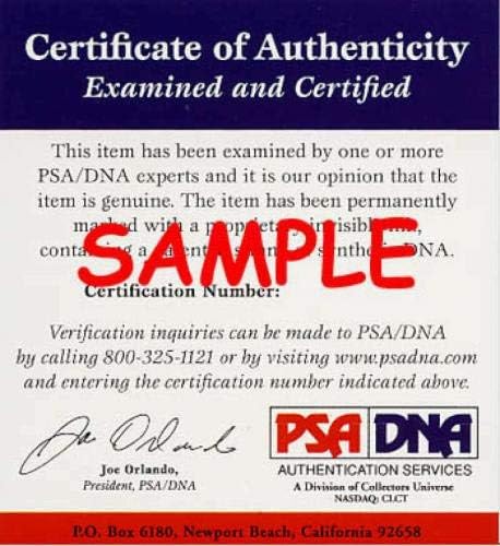 STEVE CARLTON PSA DNA COA חתום 8x10 קרדינלים צילום חתימה - תמונות MLB עם חתימה
