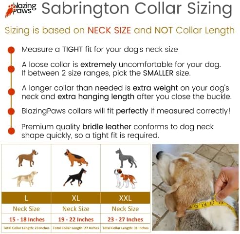 BlazingPaws Sabrington 2 אינץ 'רחב יוקרה צווארון עור ממוסמר לכלבים גדולים, עור רסן פרימיום עבה עם ריפוד זמש רך,