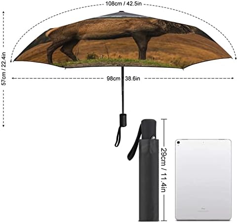 דולר סקוטי מטריה אוטומטית מטריה מתקפלת ניידת נגד אולטרה סגול מטריות נסיעות עמידות למים ואטומות לרוח