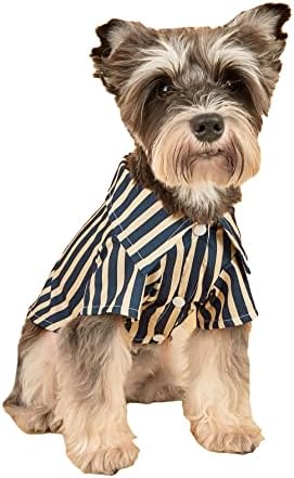 Qwinee הדפס פסים חולצה כלב חתול כלב כלב חולצת טריקו סווטשירט סווטשירט נושם בגדי חיות מחמד מגניבים לגור