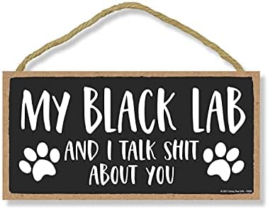 מתנות טל דבש, המעבדה השחורה שלי ואני מדברים עליכם חרא, עיצוב תלוי קיר כלבים מצחיק, שלטי עץ דקורטיביים