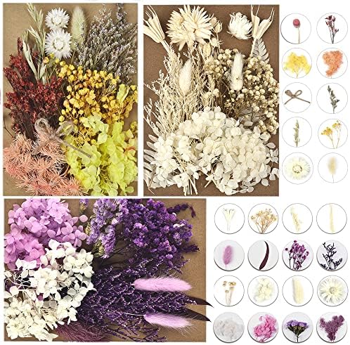 דלארן 6 חבילות פרחים יבשים לייצור נרות ייצור DIY פרחים יבשים לחוצים פרחים טבעיים מרובים פרחים דקורטיביים