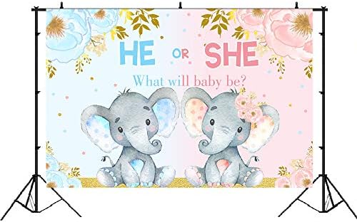 פיל מין לחשוף תינוק מקלחת צילום רקע ורוד או כחול פיל פרח רקע ילד או ילדה מה יהיה תינוק להיות יילוד תינוק