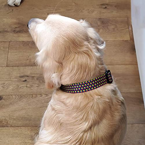 כפתורים של קשת קשת קסס צווארון כלבים - מיוצר בארצות הברית - דפוס קשור לצמיתות, אבזם אטום חלודה בדרגה צבאית,