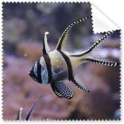 אוקיינוס דגי מדע טבע תמונה ניקוי בד טלפון מסך משקפיים מנקה 5 יחידות