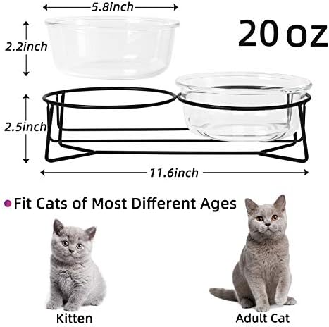 חתול מוגבה כפול זכוכית או קערות כלבים קטנות עם מתכת עמדות למזון ומנות מים לחיות מחמד, 20 אונקיות