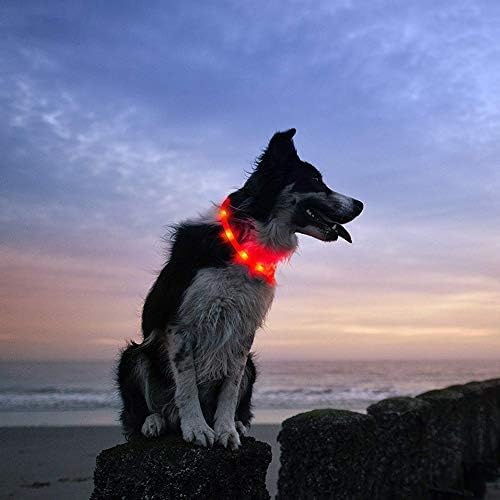 צווארון כלבים LED GREENTREEN, USB נטען עם אור מהבהב עמיד במים, צווארון הדלקת אופנה לכלבים גדולים בינוניים גדולים