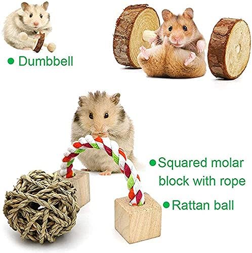 NSWDY AGSTER צעצועים, 10 חבילות פעילות קטנה של בעלי חיים פעילות גופנית צעצוע