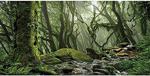 אורט ערפילי יער חממה רקע זרם ירוק ענק עץ זוחלים בית גידול רקע יערות גשם טרופיים אקווריום רקע