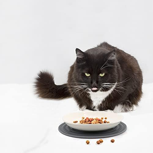 רדוד חתול מזון צלחת קרמיקה זיף עייפות חתול קערה שטוח חתול צלחות עבור רטוב מזון ומים זיף ידידותי חתול האכלת קערות