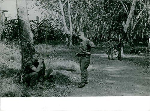 תצלום וינטג 'של חיילים בהפסקה ליד העצים בווייטנאם.