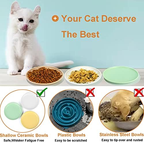 קרמיקה חתול קערה, חתול קערות עבור מזון ומים, 6 אינץ שמנת מוצק צבעים רחב חתול מנות, זיף עייפות משלוח
