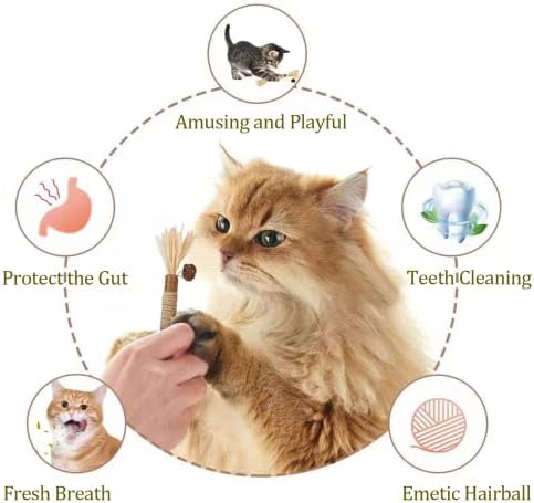 חתול ללעוס צעצוע, צעצועי חתול, חתלתול שיניים ניקוי, קיטי אינטראקטיבי מקורה, ללעוס צעצועי כסוף מקלות עבור