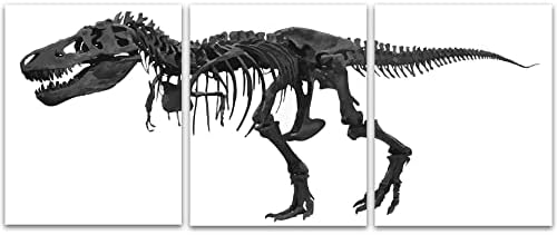 דינוזאור קיר תפאורה T -REX אמנות שלד - דינוזאור מאובנים קיר תפאורה - דינוזאור תפאורה בחדר בנים - עיצוב
