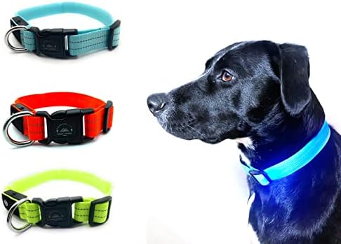 הרפתקאות Pawz LED אטום למים נטענת צווארון כלבים בינוני