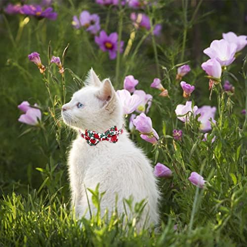 האקראו עניבת פרפר חתול צווארון, 2 יחידות חתלתול קולרים עם להסרה עניבת פרפר מתכוונן חתול צווארון עם דפוס פרחוני