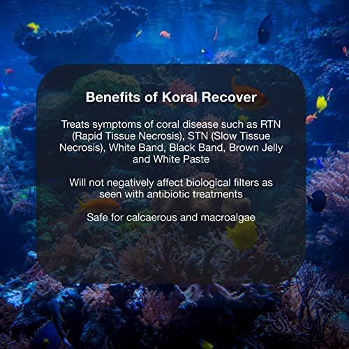 Brightwell Aquatics Koral Recover - תרופת אלמוגים לטיפול באלמוגים חיים וצמיחה מחודשת של רקמת אלמוגים