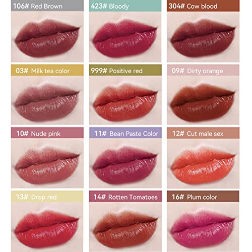 קוסליפ מיני שפתון סט, 12 צבעים כמוסות מט שפתון, גלולת בצורת שפתון, עמיד למים לאורך זמן מיני כמוסות