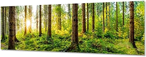 ציור יהלומים למבוגרים עגול תרגיל מלא יער נוף ריינסטון גדול גודל מודרני קיר תפאורה 43.3 על 15.7 אינץ