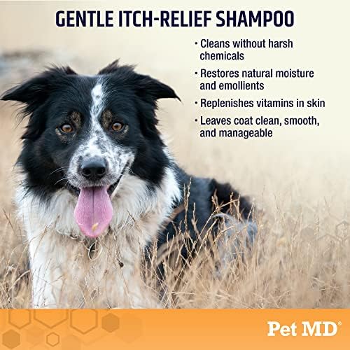 שמפו לכלבים וחתולים-מזין נגד גירוד לעור יבש רגיש ומתקלף-טיפוח מקצועי ושמפו לכלבים לחות גלון