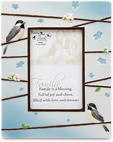 שלום, אהבה וציפורים לפי ביתן 8 על מסגרת תמונה בגודל 10 אינץ ', עיצוב ציפור שירים