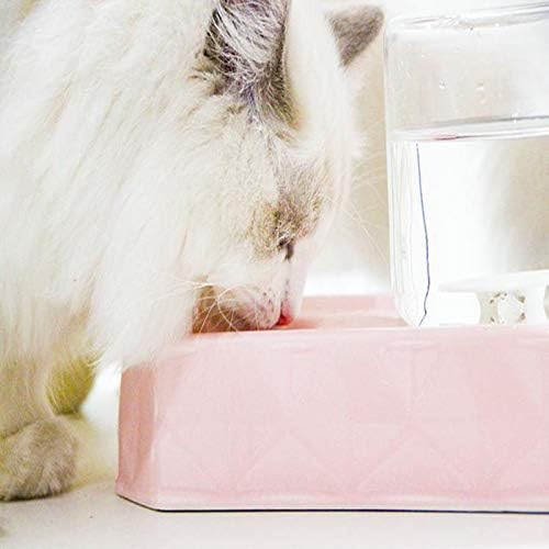לנגקה חתול קרמיקה לחיות מחמד מתקן מים, לחיות מחמד שאינו רטוב פה מתקן מים, חתול וכלב מתקן מים, ורוד