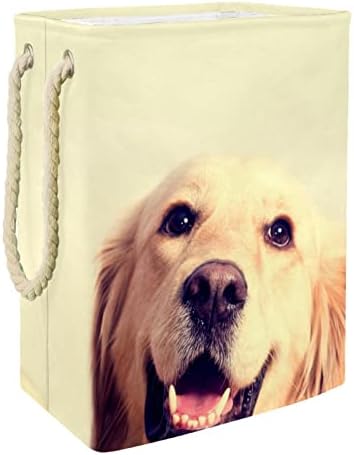 כלב גולדן רטריבר גדול סלי כביסה מלוכלך בד אחסון תיק צידניות עם ידיות מתקפל אחסון בינס