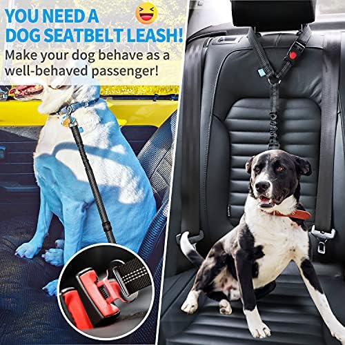 רצועת חגורת בטיחות של Baapet כלב למכוניות, רתמת חגורת בטיחות בטיחותית של 2 חבילות מחמד עם באנג'י סופג זעזועים