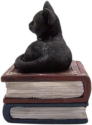 חתול שחור על ערימת ספרים קופסה דקורטיבית, תיבת תכשיט או תכשיטים, תפאורה גותית, 5.75 אינץ '
