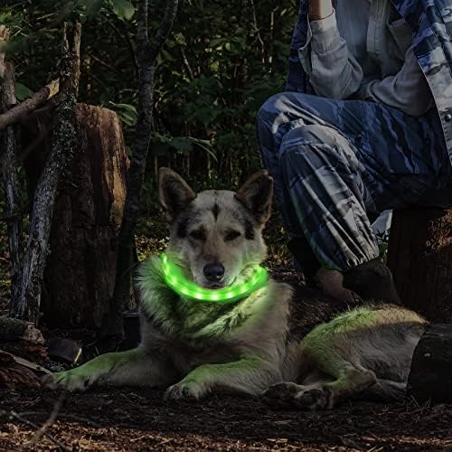 Mypetags LED צווארון כלבים, צווארוני כלבים מוארים, אורות כלבים נטענים USB להליכה בלילה, שרשרת בטיחות מתכווננת